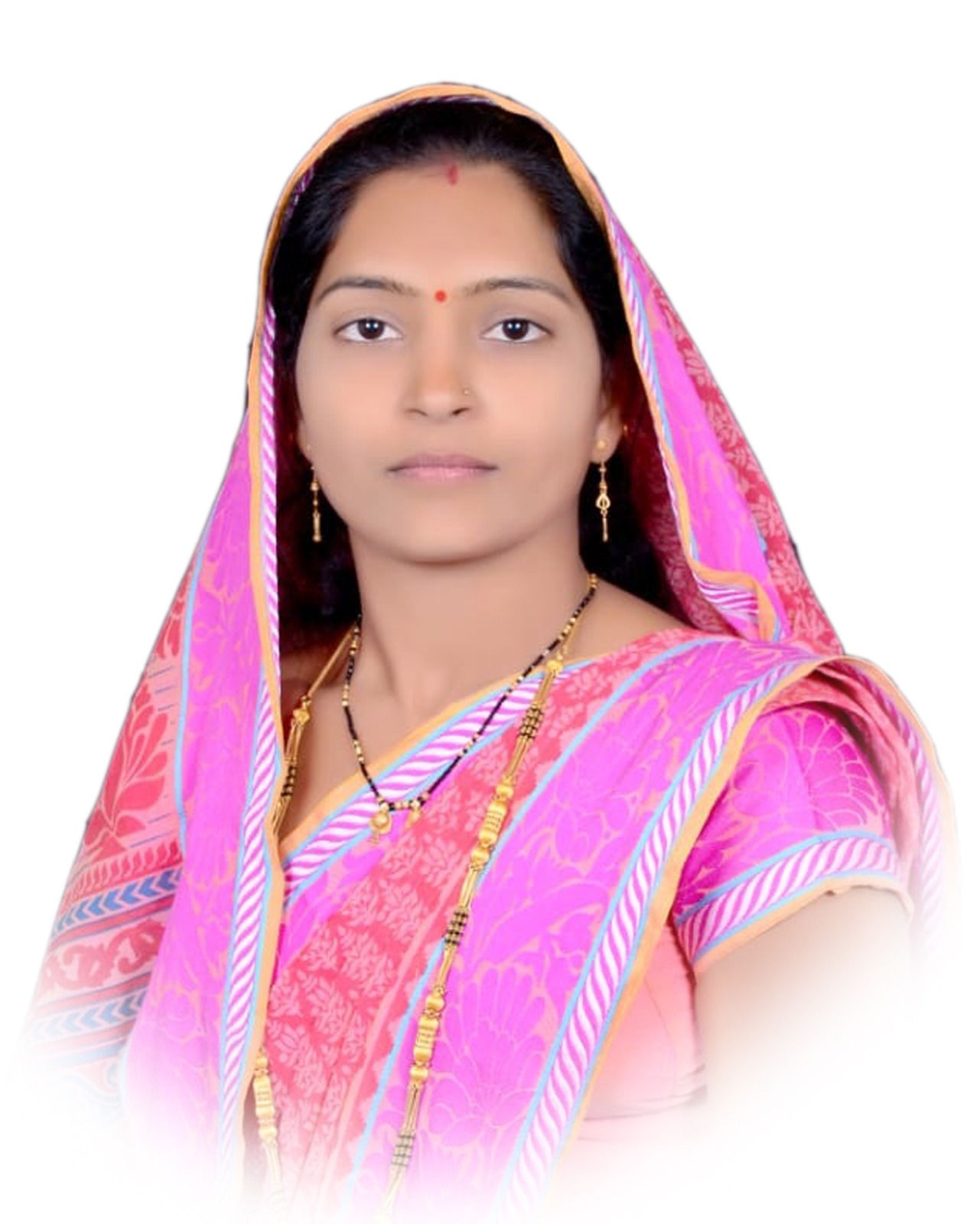 सदस्य